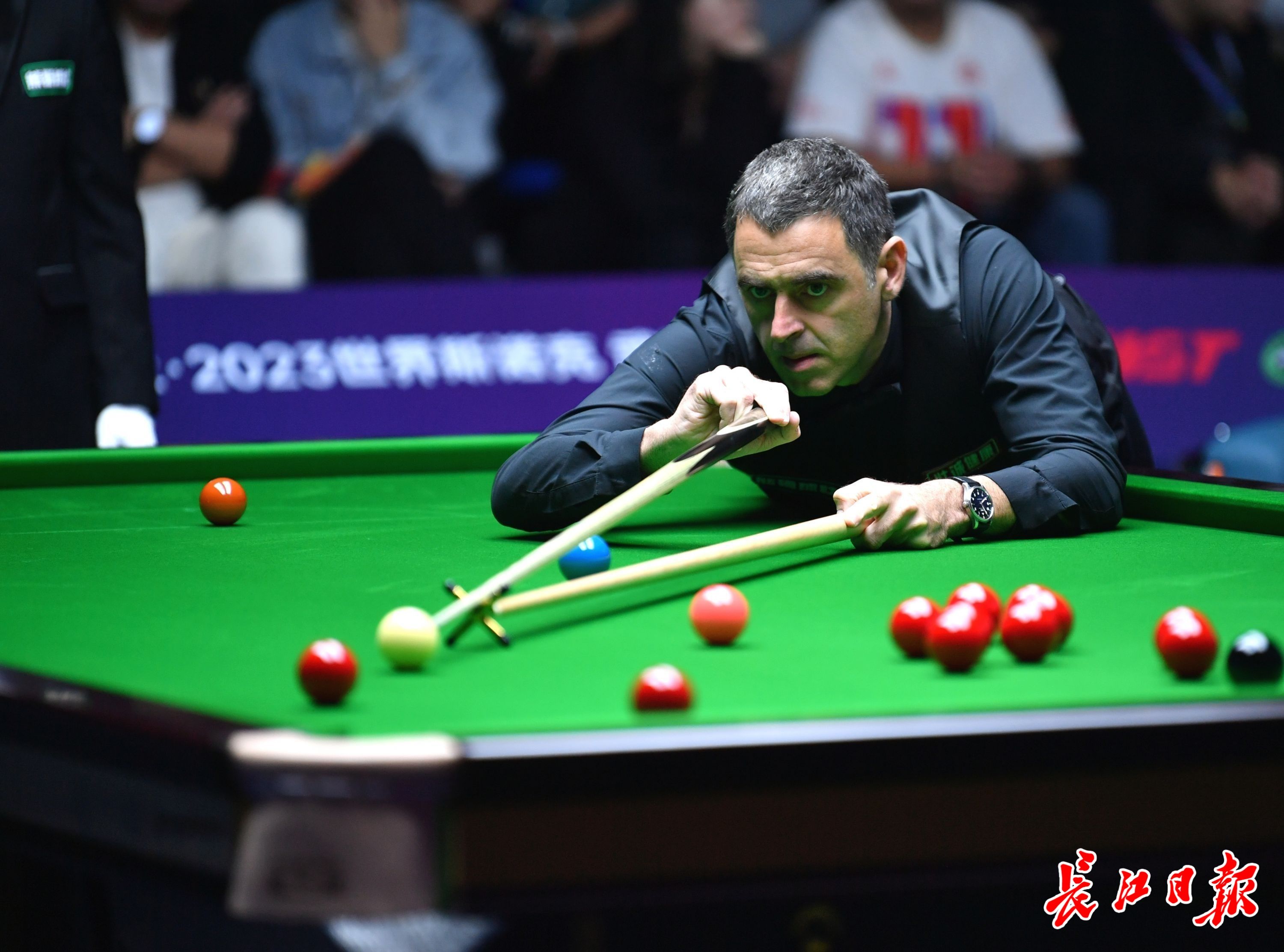 人单打方面 人单打方面